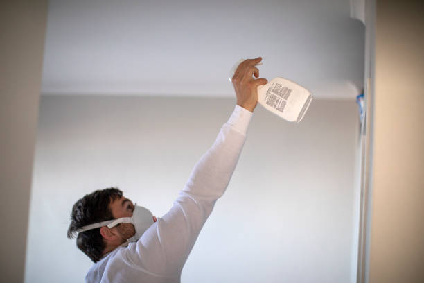 Best Local Mold Removal Service  in Slaton, TX