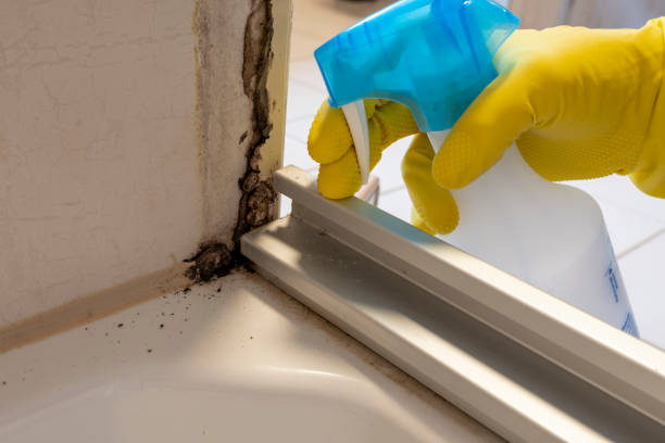 Best Office Mold Removal Services  in Slaton, TX