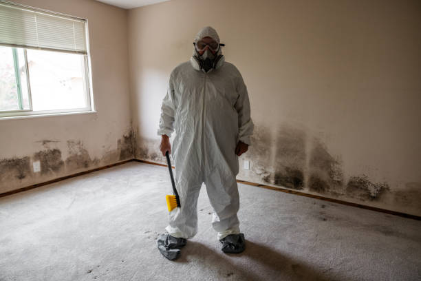Best Attic Mold Removal  in Slaton, TX