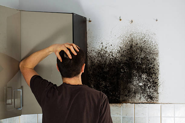Best Office Mold Removal Services  in Slaton, TX